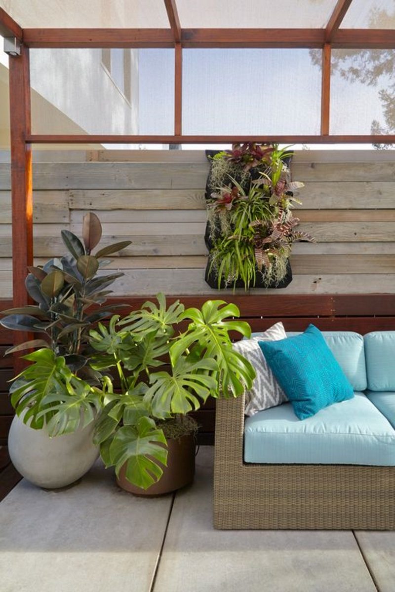 acrylic wall pocket vertical garden with bromeliads and stamped cement floor with horizontal wood plank security fence and screen-top pergola in darker stain calling back copper planter