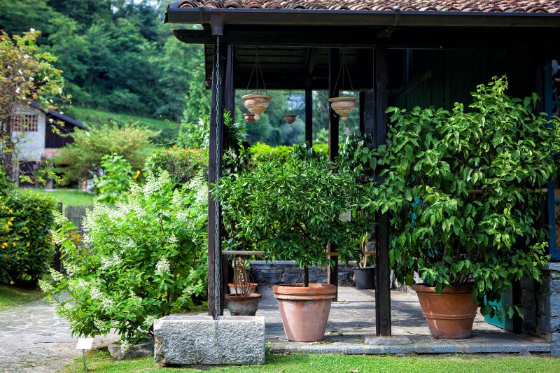 aged hanging mini pots with standard rolled rim medium-sized pots and terra cotta roof tiles with concrete patio floor and chain drain