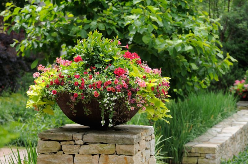 brass bowl planter with stone fence column and grass bordering low fence with low stacked stone fence and kaleidoscope of colors from perennial plants and flowers in bowl