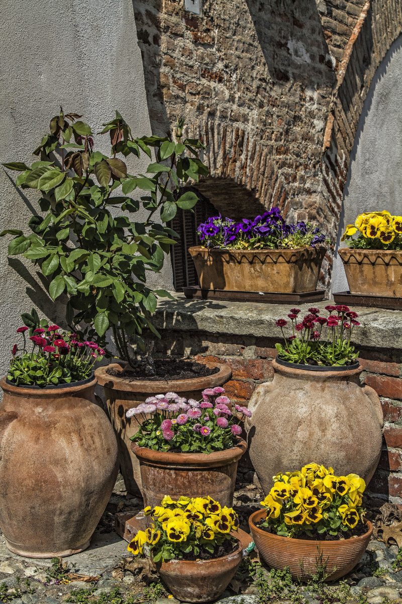 clay garden bowls with patina and rolled rim medium-sized pot and twin clay pots with handles and twin window boxes with low brick garden fence