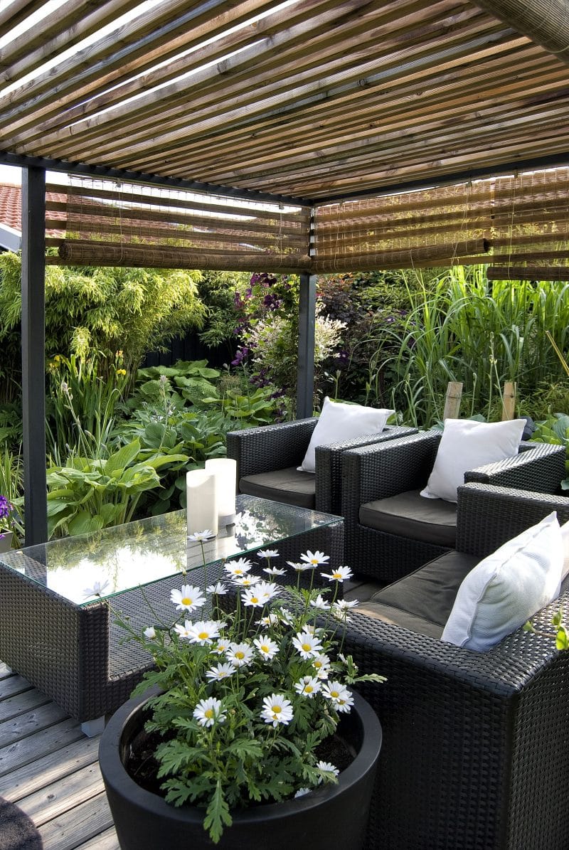 detached aluminum base and wood slat rafter pergola with bamboo blinds and black wooden fence and cast stone urn with shasta daisies and white candle lamps