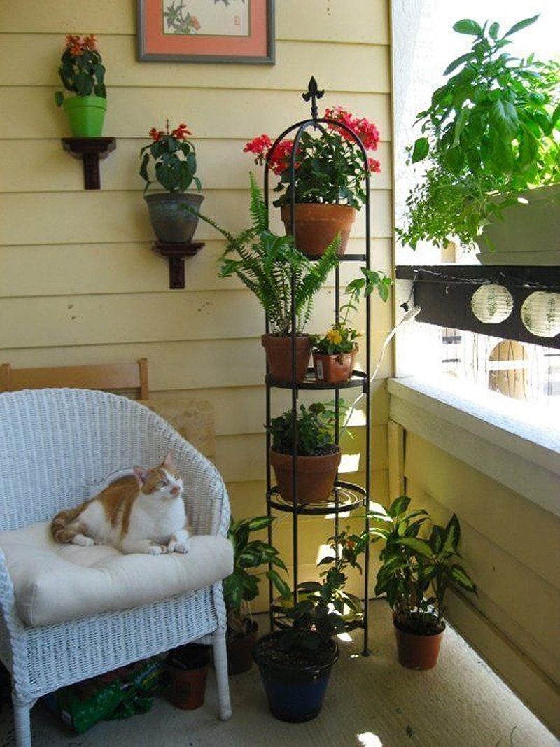 fleur-de-lys 4-tiered iron stand and decorative wall brackets to hold single pots with dark wood shelf to hold privacy and mini lantern string lights and white window box