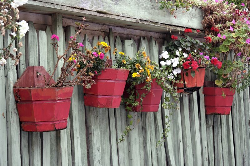 half hexagonal mounted wooden planters in a hand-painted vintage red color and DIY white fence with assortment of points and above fence built-in wooden planter