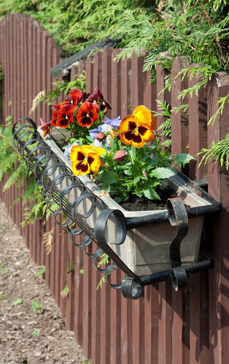 hammered vintage iron window box holder with yellow and orange pansy flowers and stained picket fence with regular points and plastic window box