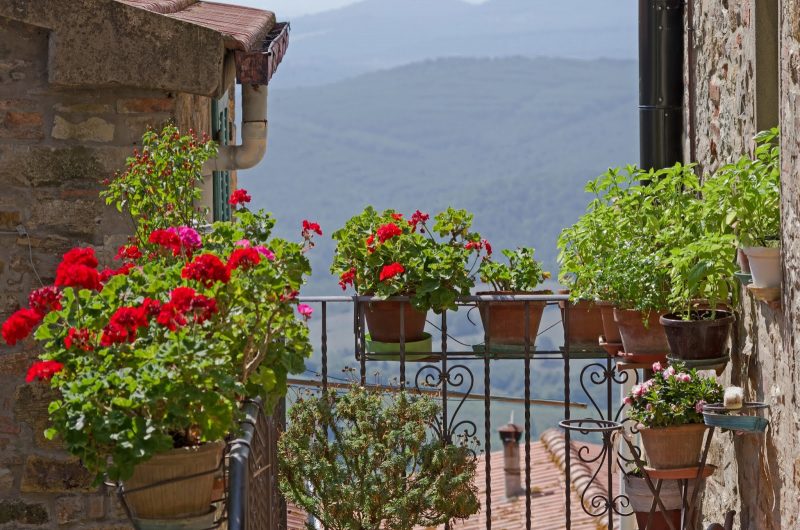 iron hanging flower pot holders and multi-pot pot holder stand and wrought iron balcony railing with swirl design and pots on window sill with wall shelf and terra cotta pots