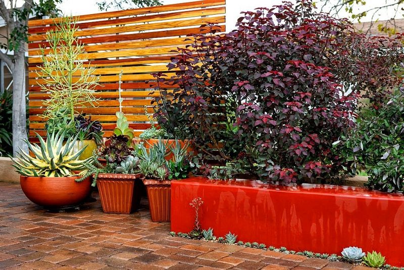 large terra cotta garden bowl with cactus and twin fluted resin square planters with succulents and stained horizontal slatted wood fence with concrete paving stones