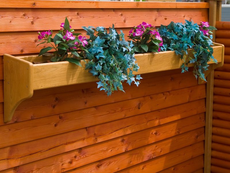 narrow wooden flower box in stain back fence corner with hardwood horizontal lap siding and stained bamboo slat fence with english ivy hedera helix plants