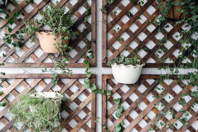 natural and white scalloped resin pots with lattice wood panels and porcelain square tile accent wall and wrought iron hanging basket with variety of crawling plants and vines