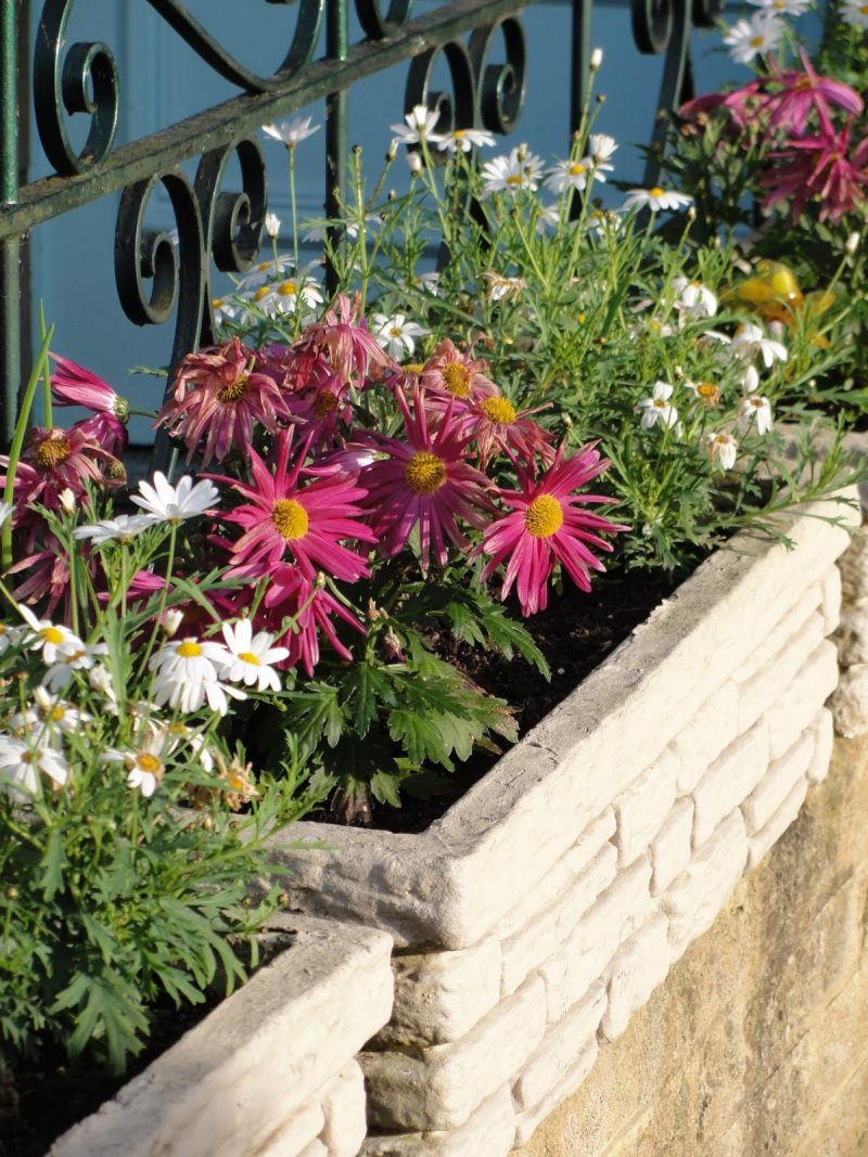 pair of painted concrete planters with brick-like pattern and low stone wall and forest green iron fence with pink and white daisies
