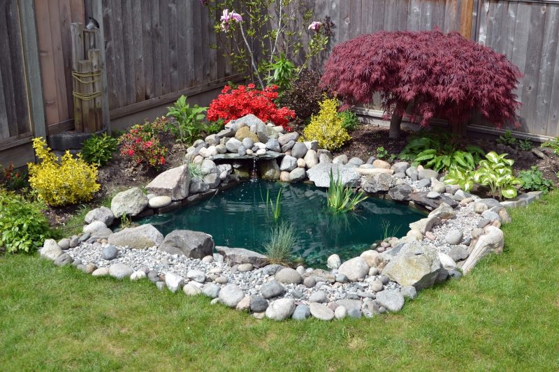 petite pond with mixed sized stone surround and wood plank fence and miniature Japanese maple with plants in varying heights and hues