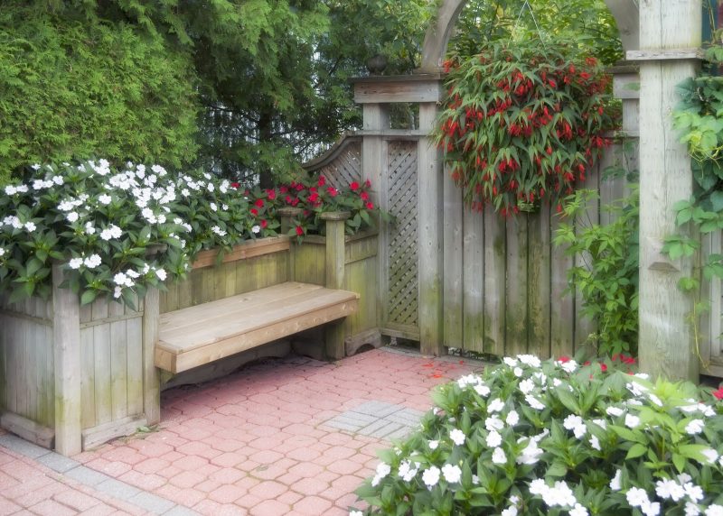 red Bolivian begonia plant with raised wooden garden bed and built-in bench and wooden fence with arch and lattice details and brick and cement pavers