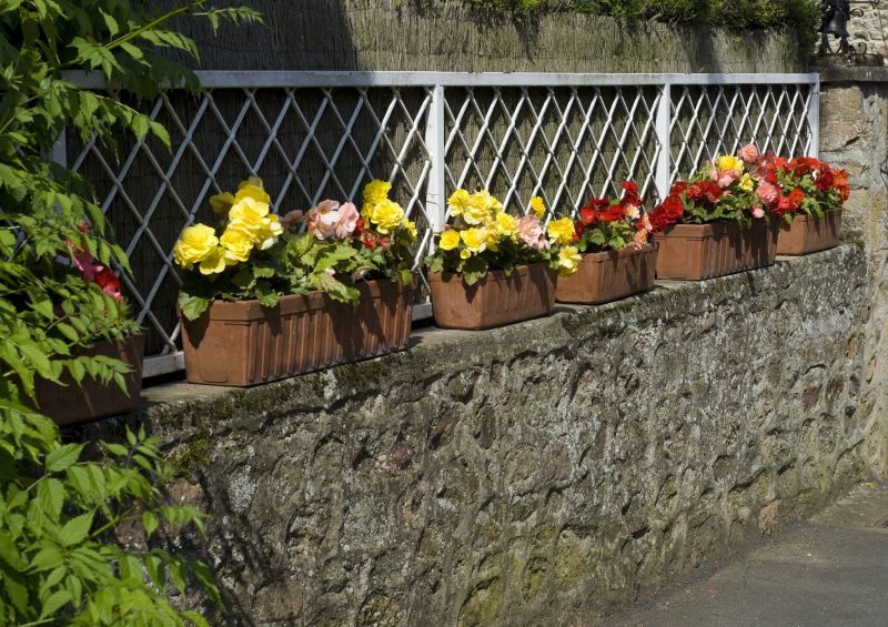 row of terracotta venetian flower boxes with mortared stone fence and white iron lattice top fence with thatched privacy screen and vintage bell