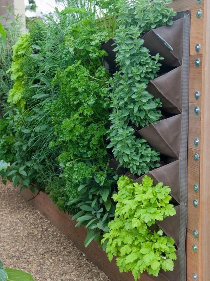 shoe organizer repurposed as vertical planter with healthy herb garden and pea gravel garden ground cover and horizontal wooden plank fence with hex screws and washers