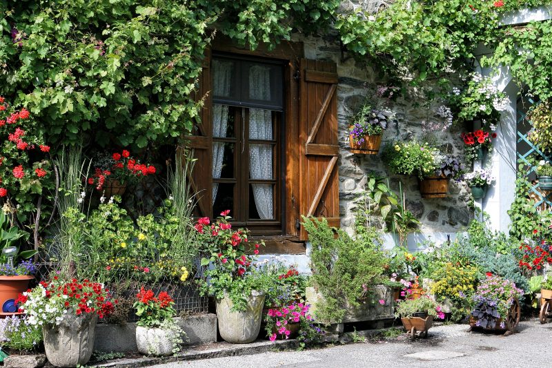 stone planters with collection of mini wheelbarrow planters and wall mounted barrel planters with stone facade and wood Z shutters