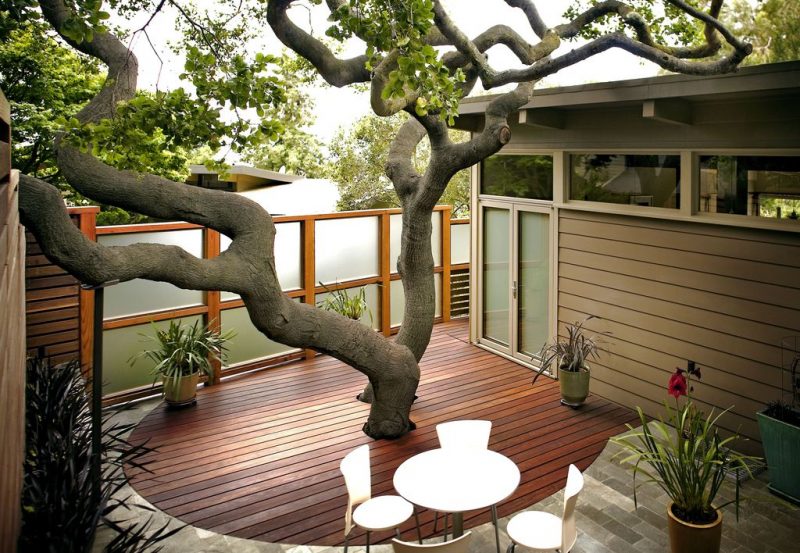 wood and stone deck combination with stained wood panels with frosted glass privacy fence and glass-faced french doors and tree with graceful curved trunk and branches