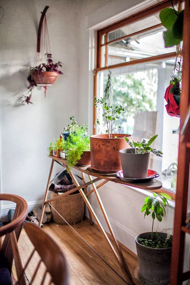 wooden ironing board plant stand with glazed purple ceramic dish as pot saucer and larged cylinder unglazed clay pots and wall-mounted pot holder bracket