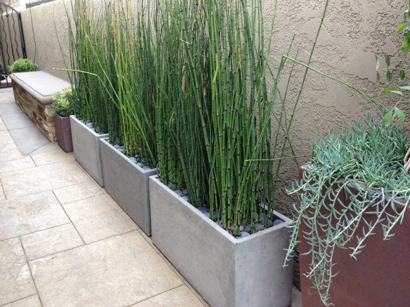 young bamboo plants with concrete tall plant troughs and built-in stone bench and thin and tall glazed speckled planter with dash stucco fence