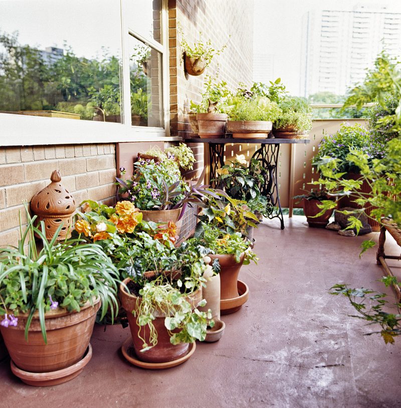balcony garden with various banded and rolled rim and cylinder and bowl and wall terra cotta planters with pale yellow metal railing with cutouts and wood and rush twine bench with stained concrete floor calling back brick siding and planters