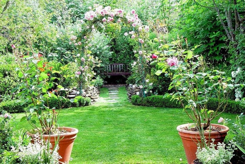 pink and white English roses on arbor with extra large rolled rim traditional terracotta planters and short boxwood edges with low rustic stacked stone wall and glazed dark wood bench with stepping stones from arbor to bench