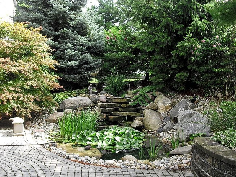 river rock pond edging with combination of block and dry stones retaining wall and cobblestone paver mosaic with t-cross border garden path and lily pads with variety of pine trees for year-round privacy and shade