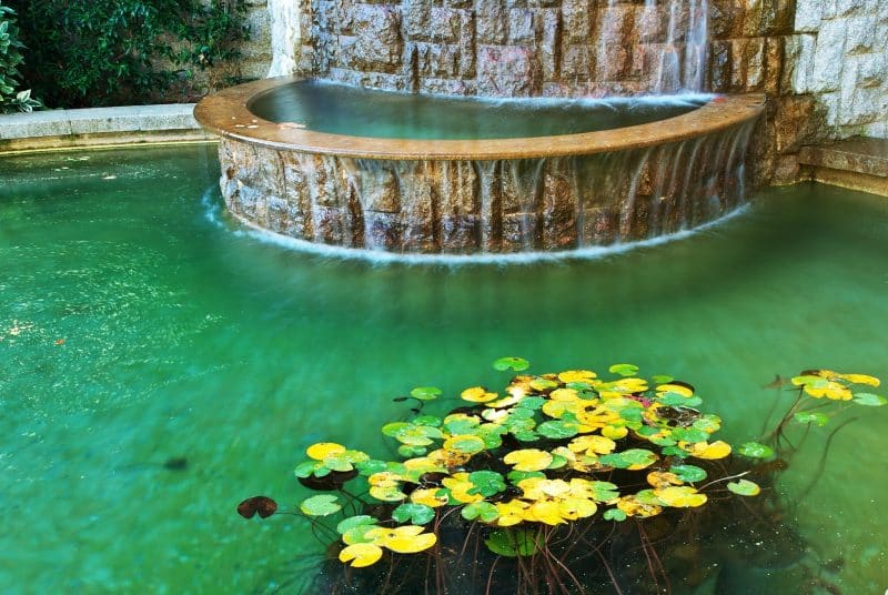 27 Garden Pond Ideas that Will Make You Feel Relaxed in Your Backyard