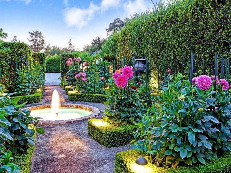 straight-and-curved-boxwood-hedges-and-fountain-with-brick-edging-and-pink-zinnia-with-clipped-hedges-for-privacy-and-green-backdrop-and-decomposed-red-granite-garden-path