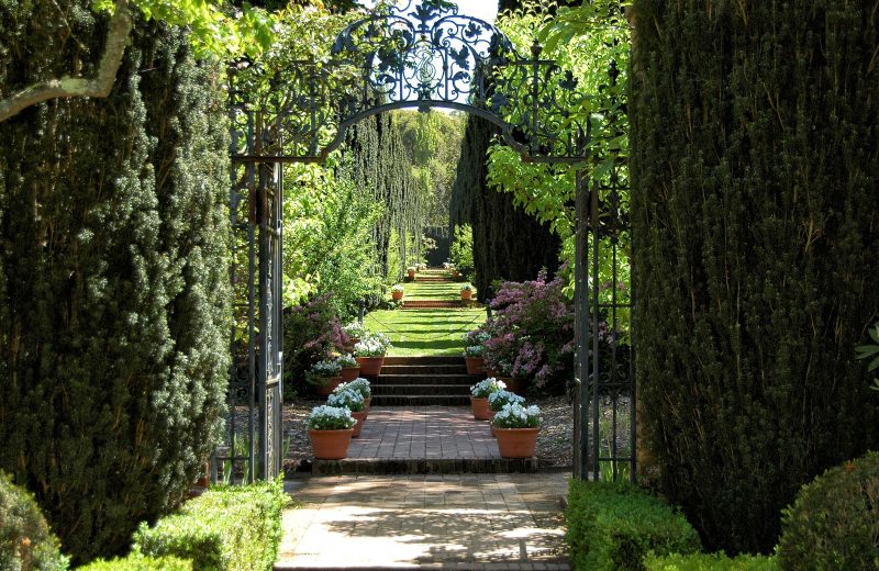 cast iron double swing gate with cast iron leaf and scroll archway with tall au naturel fence and brick steps and grass path with terra cotta planters lining the path and chain links and poles