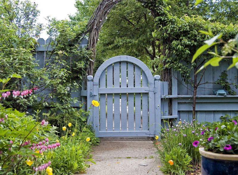 matte sky blue arched garden gate and matching sky blue dog ear privacy fence with natural vine arbor and antique patinated turtle statue with pebble aggregate path and blue ceramic glazed planter with string lights on natural arbor