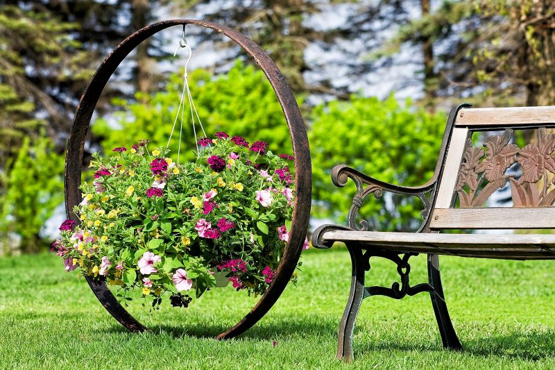 ornamental rustic wagon iron wheel with hook on top and pink petunias in hanging planter with ironwork bench with flower ornate back