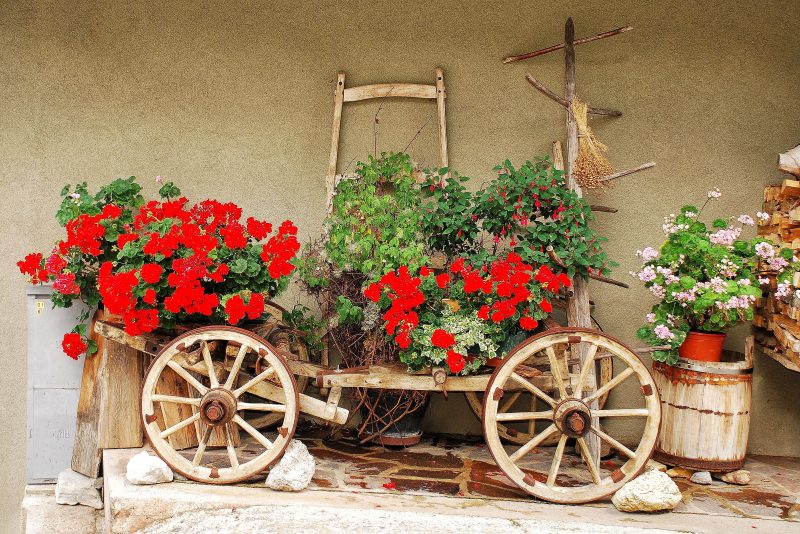 wagon planter without sideboard and DIY dry flower hanger geranium with red fuchsia and terracotta planter on top of barrel and rocks as wheel stoppers