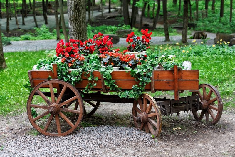 white resin flower pots in a wagon planter with DIY box board made of stained planks and pea gravel wheel stoppers with geraniums in white flower pots and hanging ivy garland