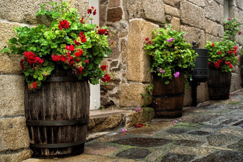 antique full size built-in port pipe barrel planters with iron barrel hoops and stacked granite slab siding with red and pink geraniums in barrel planters and flower box