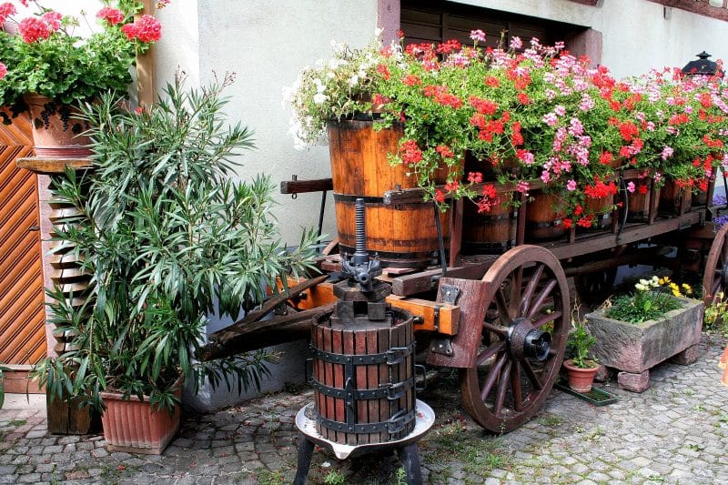 Barrel Planter Ideas