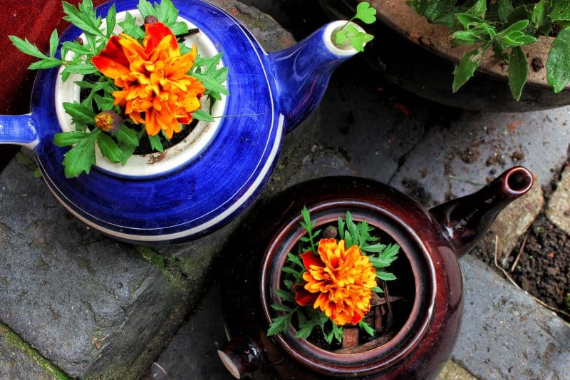 blue and brown glazed teapots used as decorative planters and stone patio flooring with marigold flowers and terracotta pot