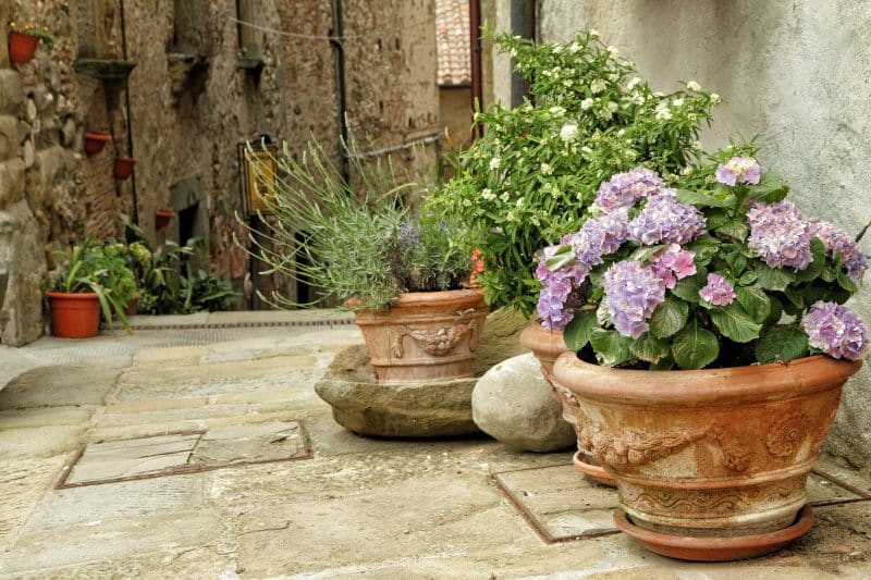 handcarved rolled rim terracotta planters with fruit and flower designs with hydrangea flowers and stone and plaster siding with resin wall planters and stone window ledges
