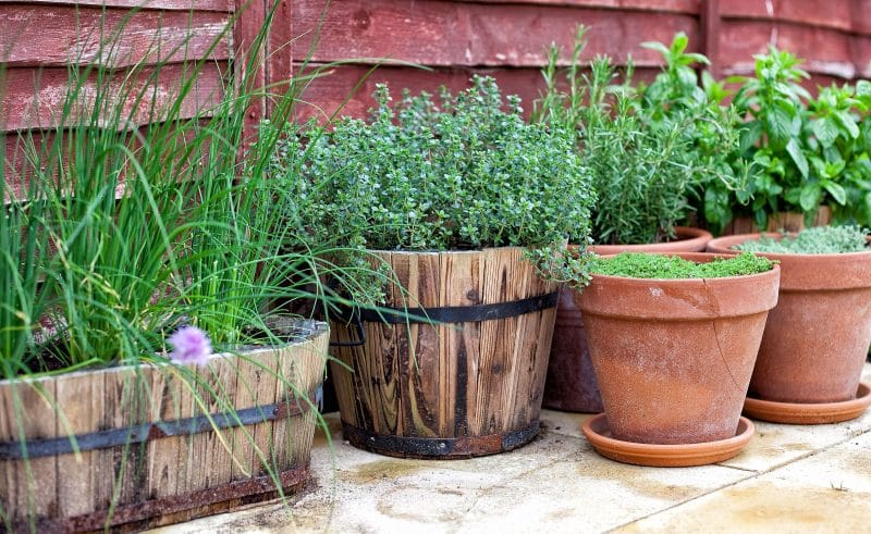 hardwood half barrel and vintage wooden trough with banded cylinder terracotta planters and DIY painted wooden fence with stamped concrete flooring