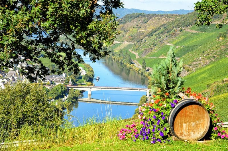 large barrel planter teeming with wild violets and metal barrel hoops with cypress tree and view of long span bridge