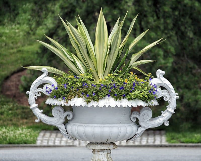 low spray painted cast iron urn with ornate handles
