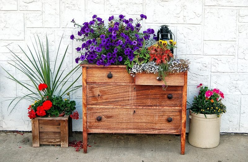 old dresser repurposed as planter box with off-white spray painted bucket repurposed as planter and DIY square wooden planter box with geraniums, pansies, variegated plants and wild violets