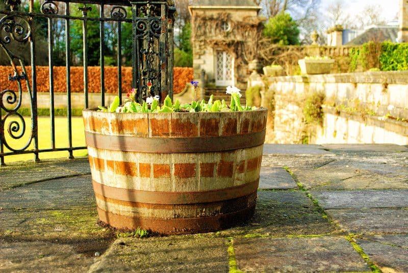 time-worn half oak barrel planter with iron fence and large stone flooring with moss and square concrete planters on wall
