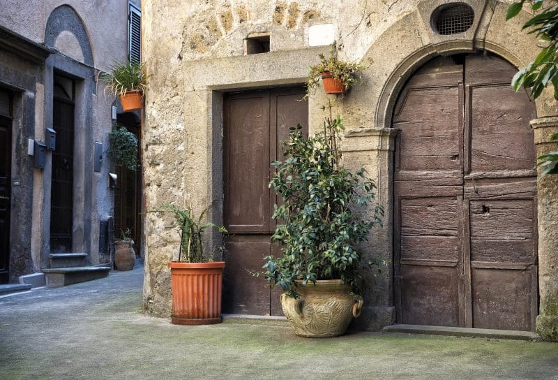 weathered terracotta jar with handles and hand carved leaf designs with arched doorway and aged wooden swing doors with resin fluted planters on ground and wall