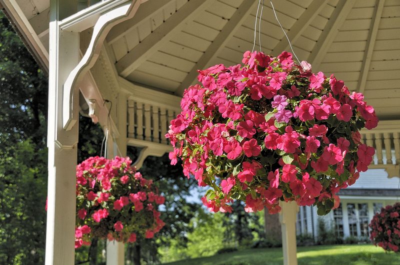 27 Hanging Flower Basket Ideas to Brighten Up Your Front Yard / Backyard