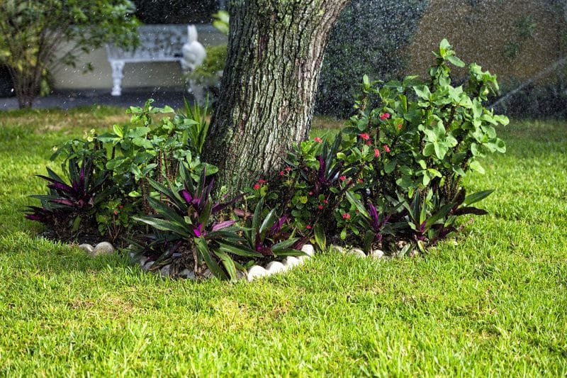 scalloped concrete tree edging with red flowering Crown of Thrones around tree and purple and green evergreen Moses-in-the-Cradle lining edging with white powder coated iron bench with ornate lattice back