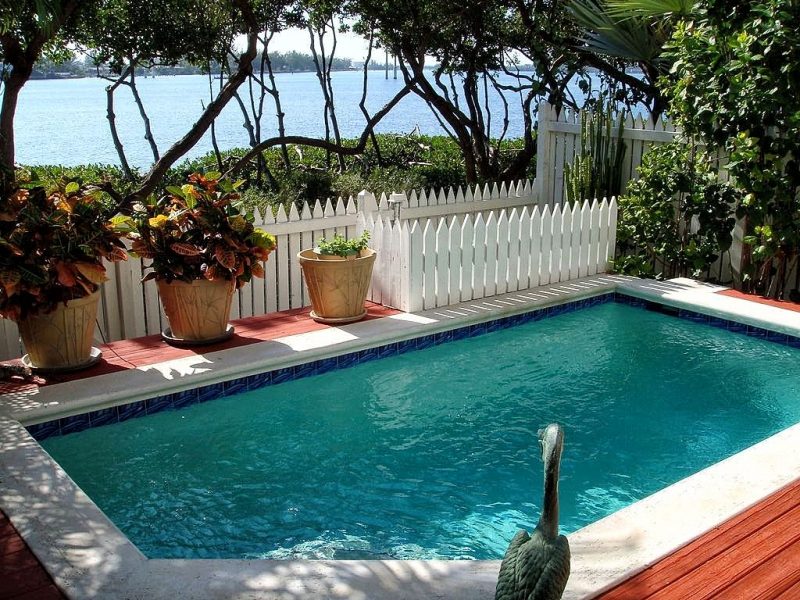 small rectangular swimming pool with one angled corner and white picket fence border with variegated croton shrubs in plastic flower pots with saucers and concrete pool coping with composite wood pool decking and bronze bird statue ornament on deck