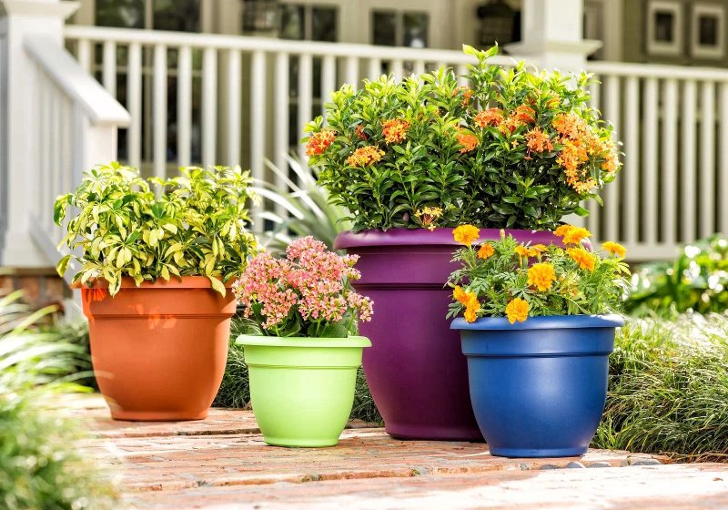 Best Planter Ideas-Natoli Self-Watering Plastic Pot Planter by Charlton Home