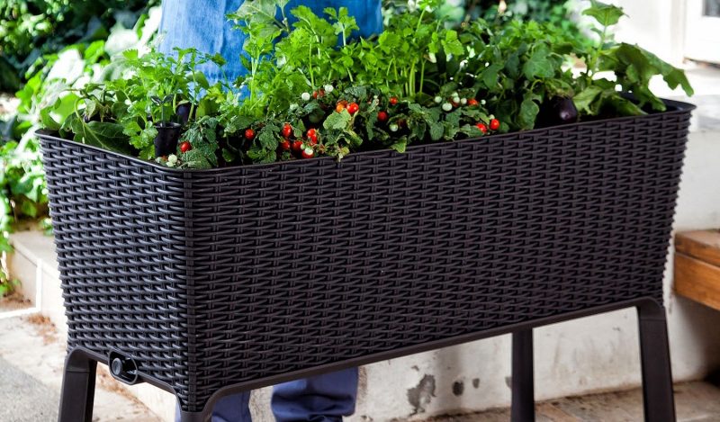 Best Raised Garden Bed and Elevated Planter Ideas-Resin Elevated Garden by Keter